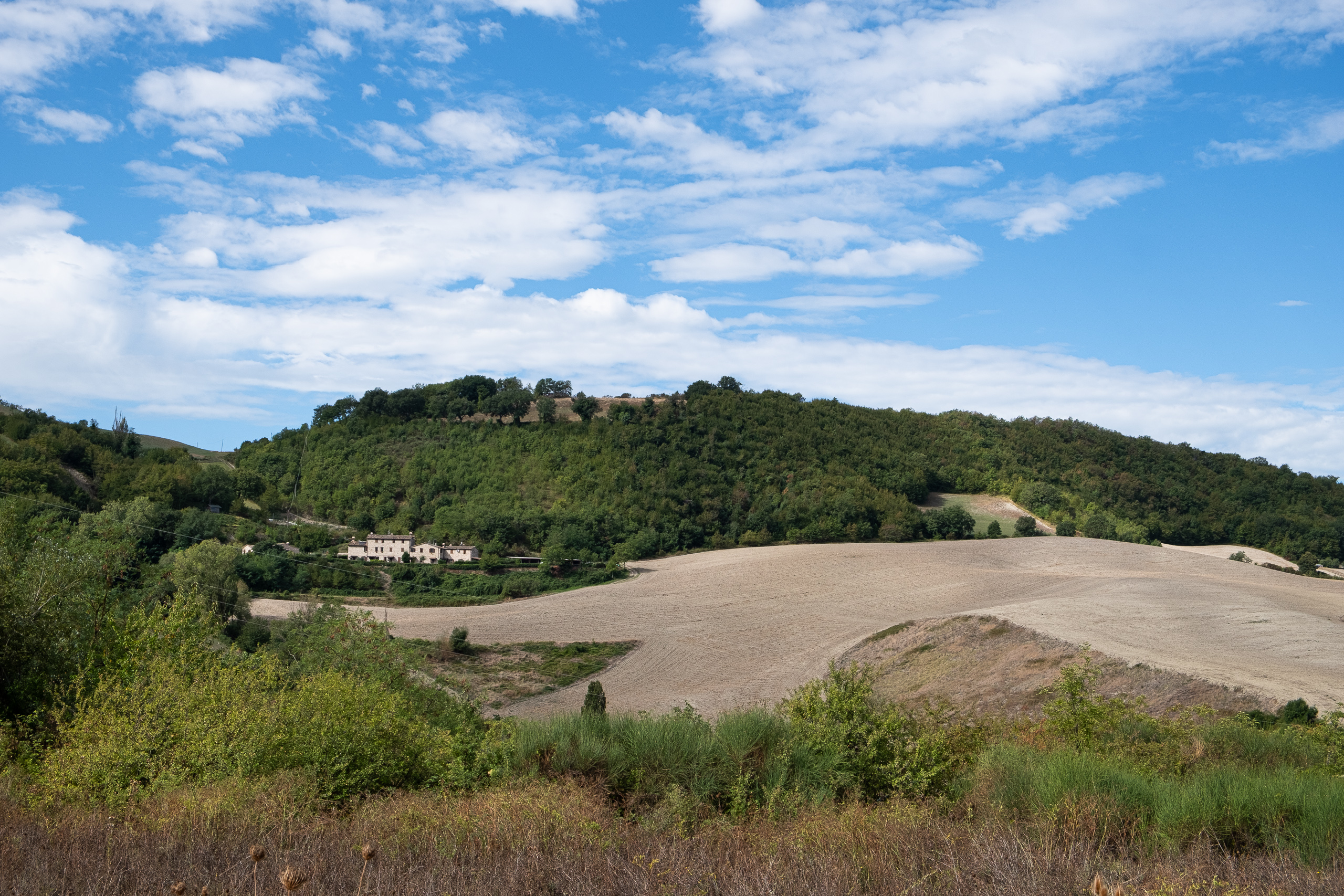 Bauernhof am Waldrand über abgeernteten Feldern